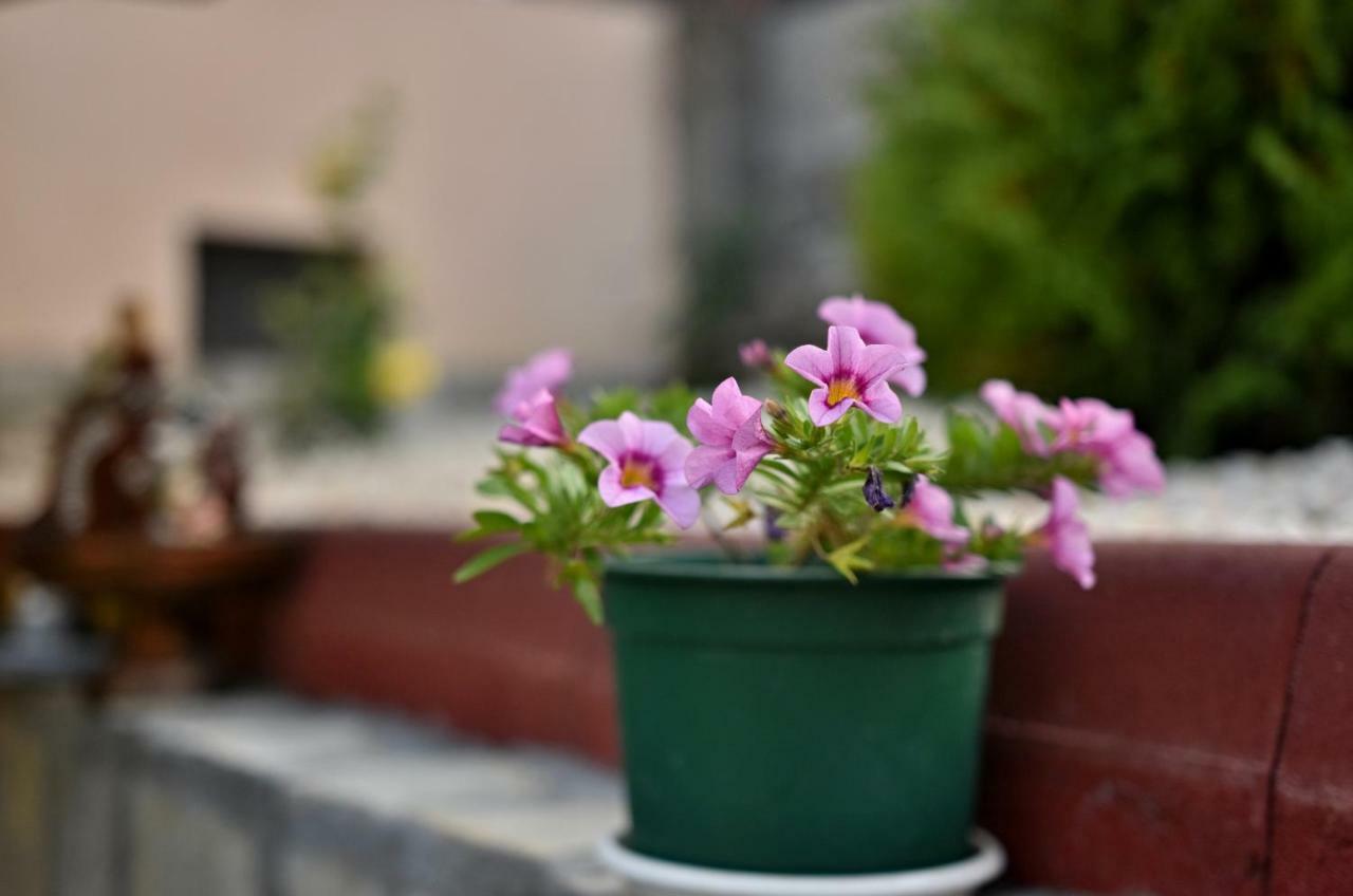 Saint Maria Guest House Welingrad Zewnętrze zdjęcie